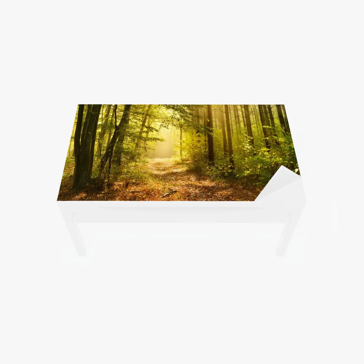 Tischaufkleber und Schreibtischaufkleber sonnenbeschienener waldweg im herbst – Pixers®