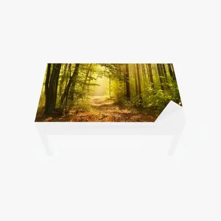Tischaufkleber und Schreibtischaufkleber sonnenbeschienener waldweg im herbst – Pixers®