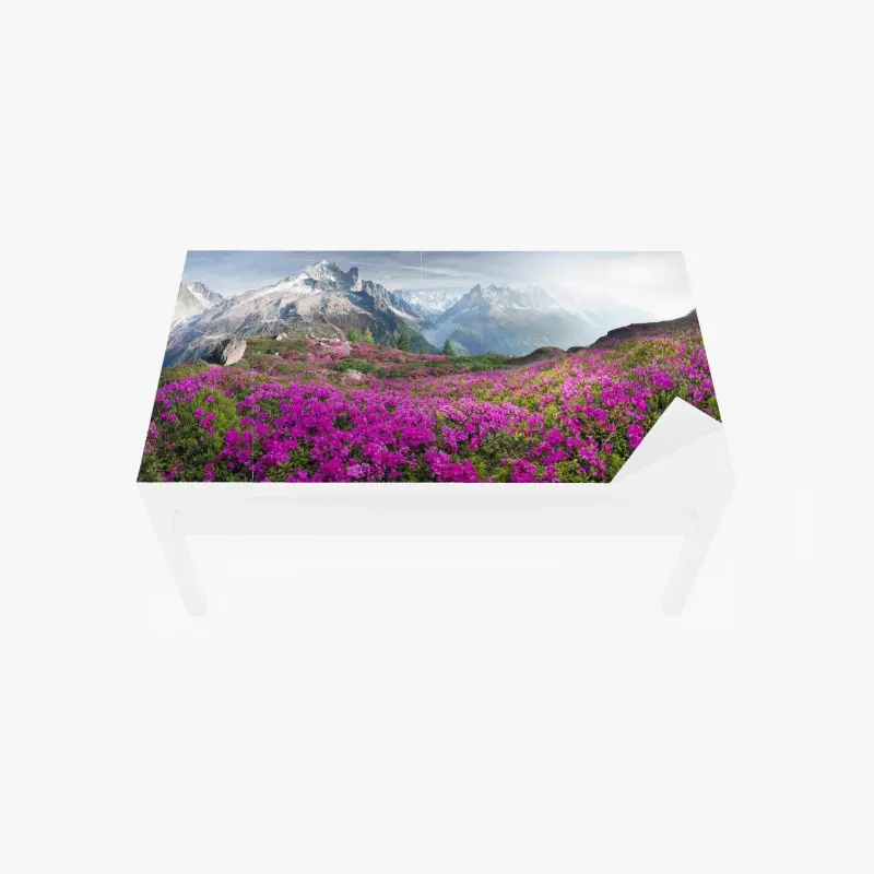 Tischaufkleber und Schreibtischaufkleber alpine rhododendronwiese bei Mont Blanc
