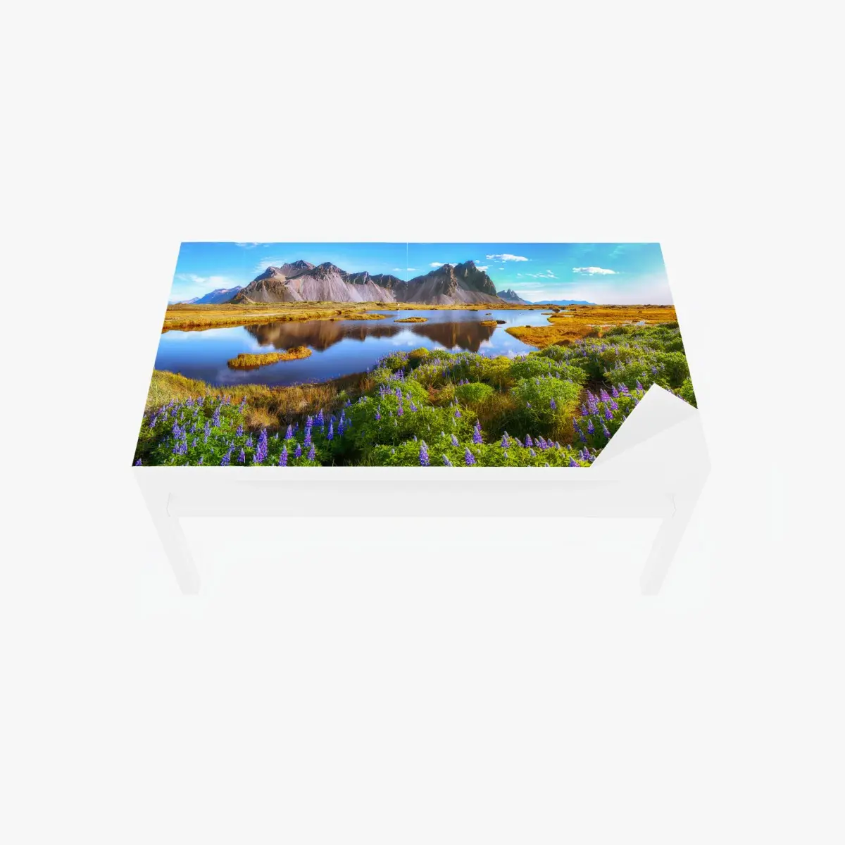 Tischaufkleber und Schreibtischaufkleber lebendige lupinenwiesen bei Vestrahorn, Island – Pixers®