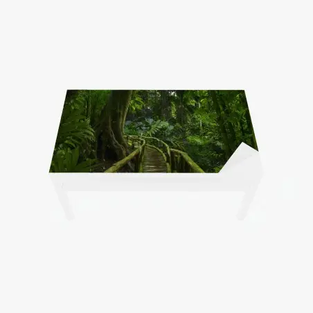 Tischaufkleber und Schreibtischaufkleber ruhiger dschungelsteg durch üppigen regenwald – Pixers®