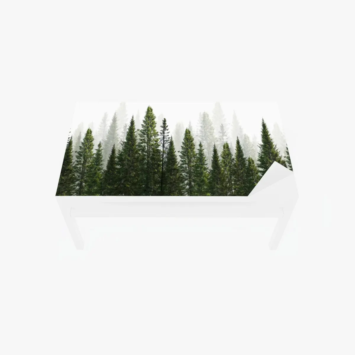 Tischaufkleber und Schreibtischaufkleber nebliger tannenwald – Pixers®