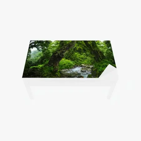 Tischaufkleber und Schreibtischaufkleber moosiger waldbach panorama – Pixers®