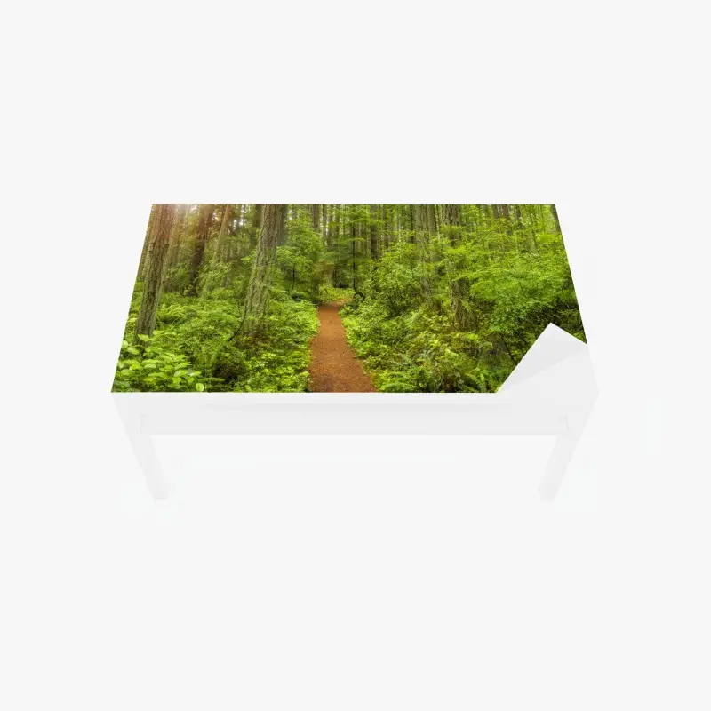 Tischaufkleber und Schreibtischaufkleber friedlicher waldpfad