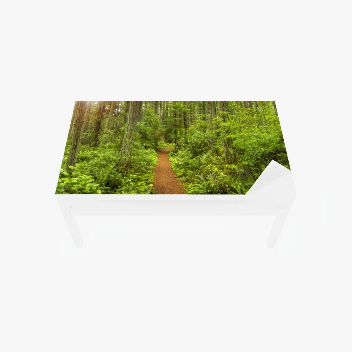 Tischaufkleber und Schreibtischaufkleber friedlicher waldpfad – Pixers®