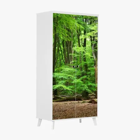 Schrankaufkleber ruhige grüne waldkrone – Pixers®
