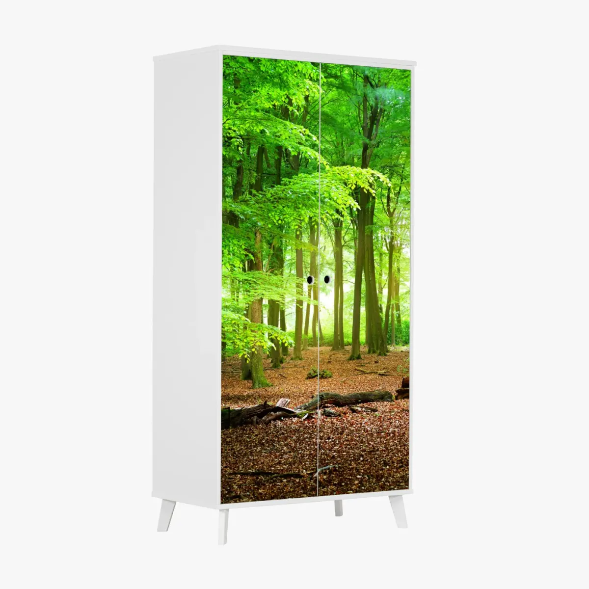 Schrankaufkleber sonnendurchfluteter grüner wald – Pixers®