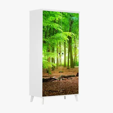 Schrankaufkleber sonnendurchfluteter grüner wald – Pixers®