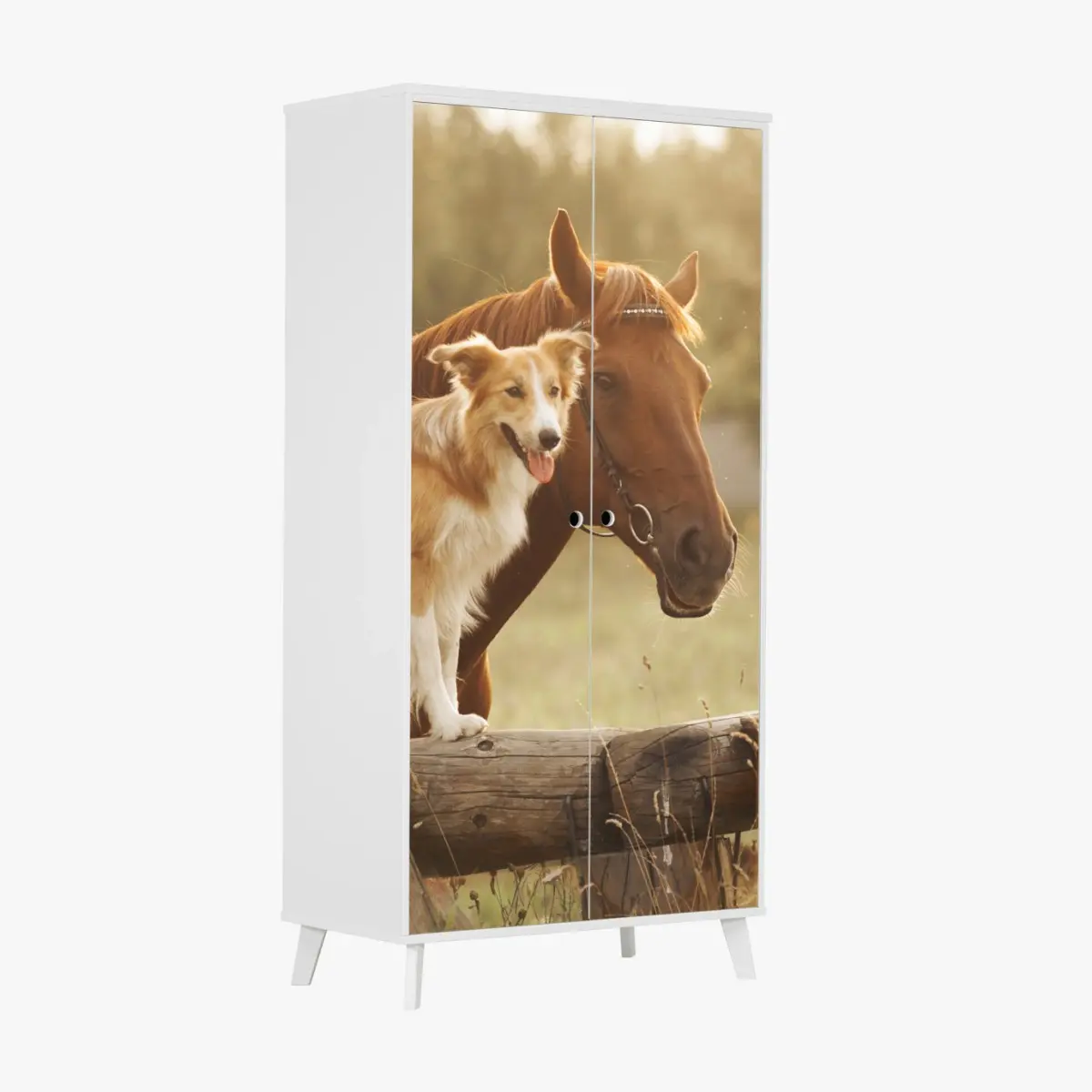 Schrankaufkleber sonnige gefährten: hund und pferd – Pixers®