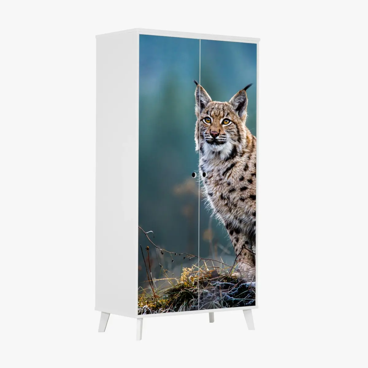 Schrankaufkleber majestätischer luchs in natürlichem habitat – Pixers®