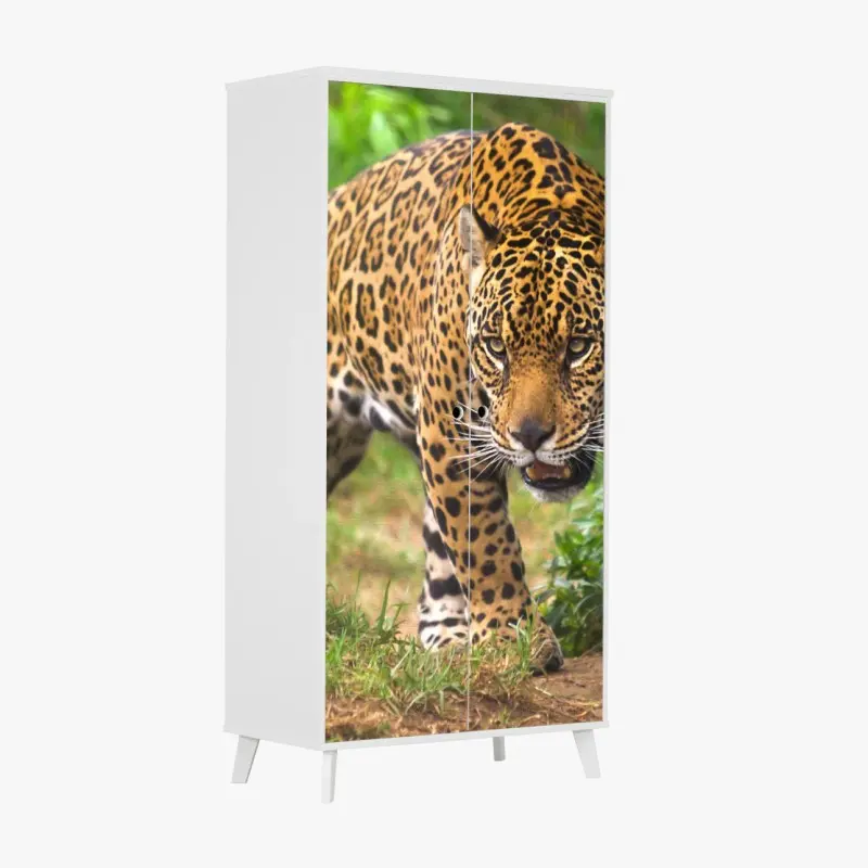 Schrankaufkleber majestätischer jaguar in freier wildbahn
