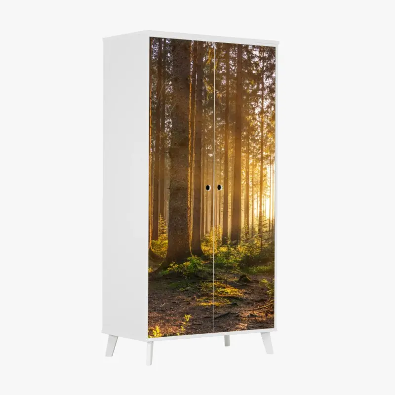 Schrankaufkleber sonnenbeschienener waldweg am morgen