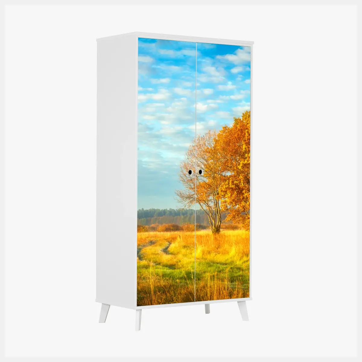 Schrankaufkleber goldene herbstwiese – Pixers®
