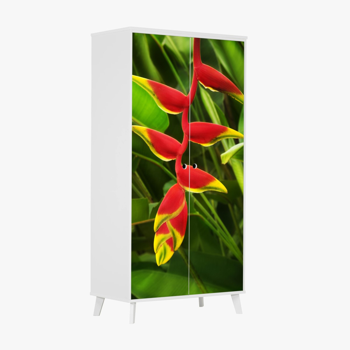 Schrankaufkleber leuchtende heliconia im tropischen laub – Pixers®