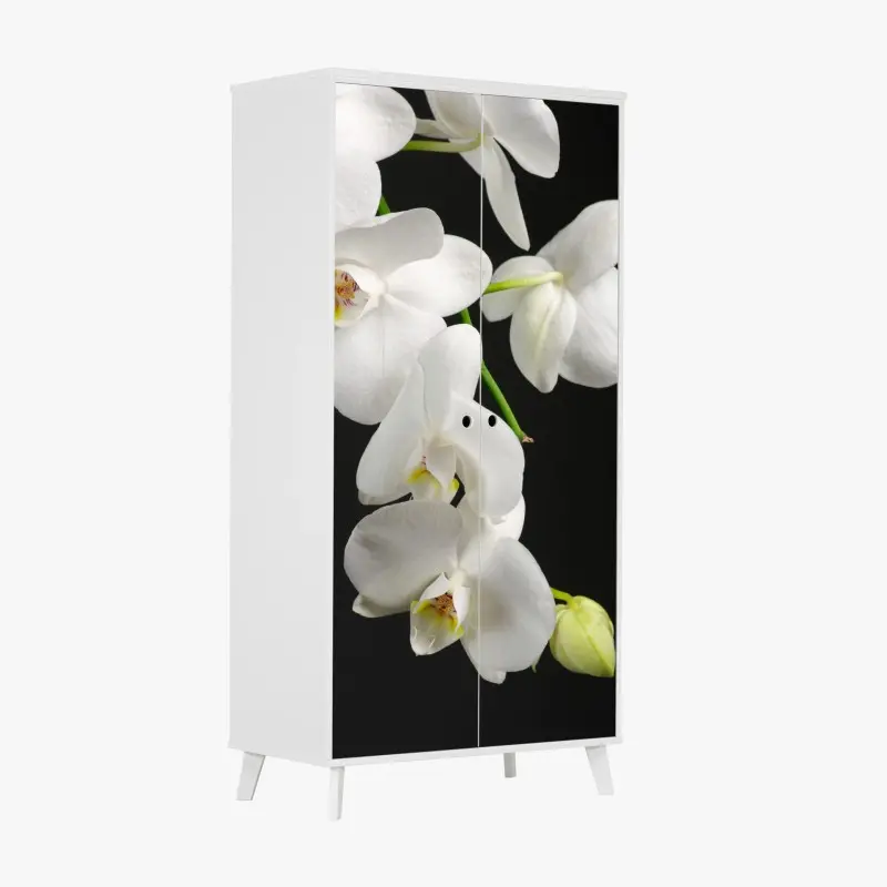 Schrankaufkleber weißer orchideenzweig vor schwarzem hintergrund