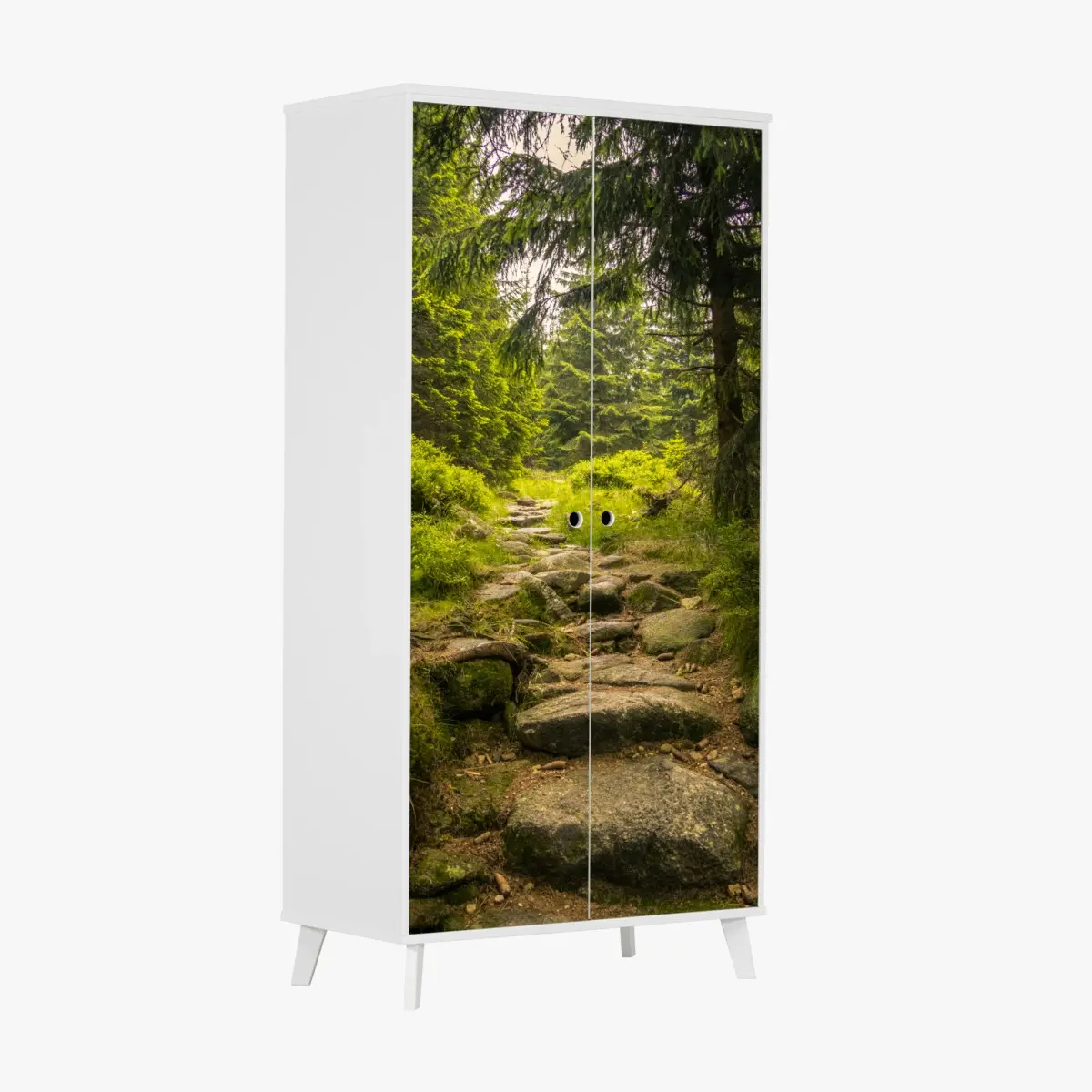 Schrankaufkleber ruhiger waldweg durch nadelwald – Pixers®