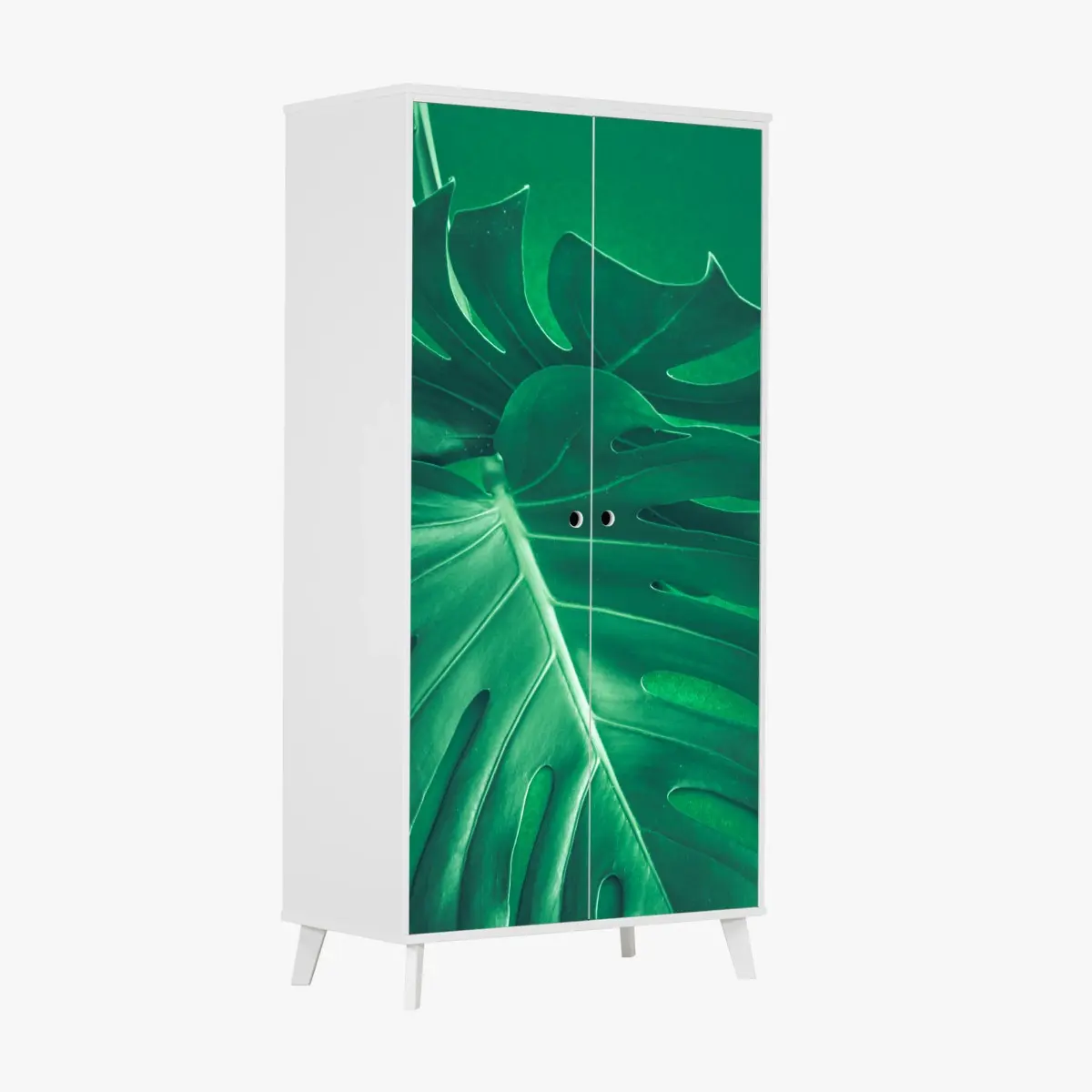 Schrankaufkleber prächtiges monstera-blatt nahaufnahme – Pixers®
