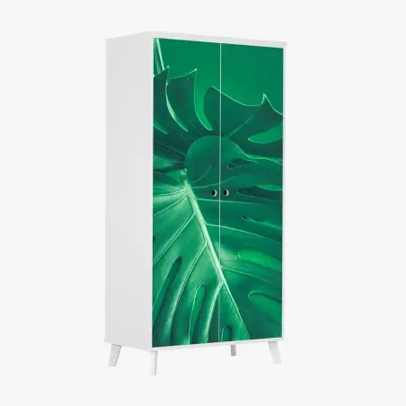 Schrankaufkleber prächtiges monstera-blatt nahaufnahme – Pixers®