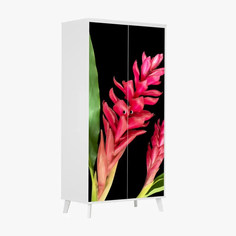Schrankaufkleber leuchtende zier-ingwer-blüte auf schwarzem hintergrund