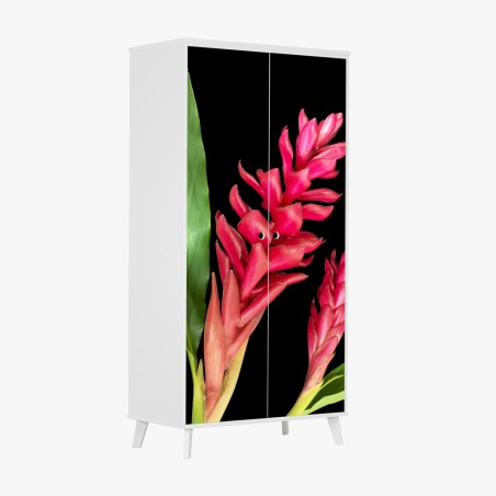 Schrankaufkleber leuchtende zier-ingwer-blüte auf schwarzem hintergrund – Pixers®