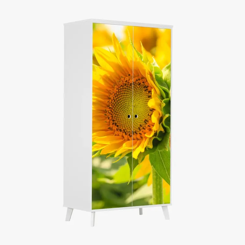 Schrankaufkleber sonnenblume nahaufnahme