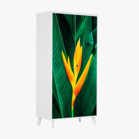 Schrankaufkleber leuchtende tropische heliconia vor satten grünen blättern – Pixers®