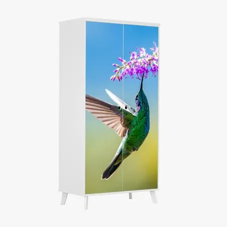 Schrankaufkleber kolibri an violetter blüte – Pixers®
