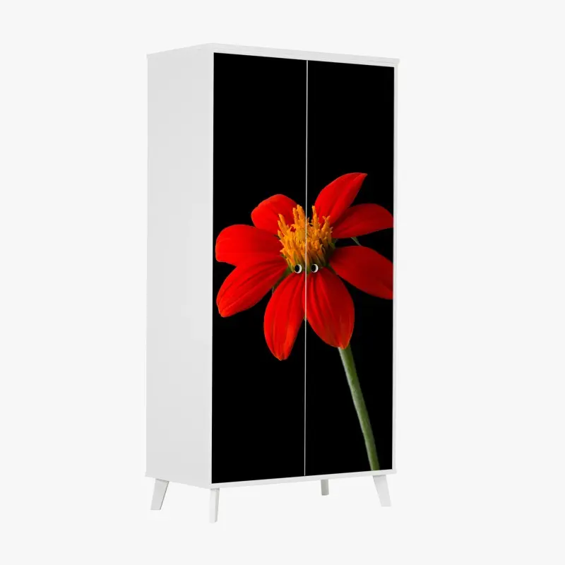 Schrankaufkleber leuchtende mexikanische sonnenblume auf schwarzem hintergrund