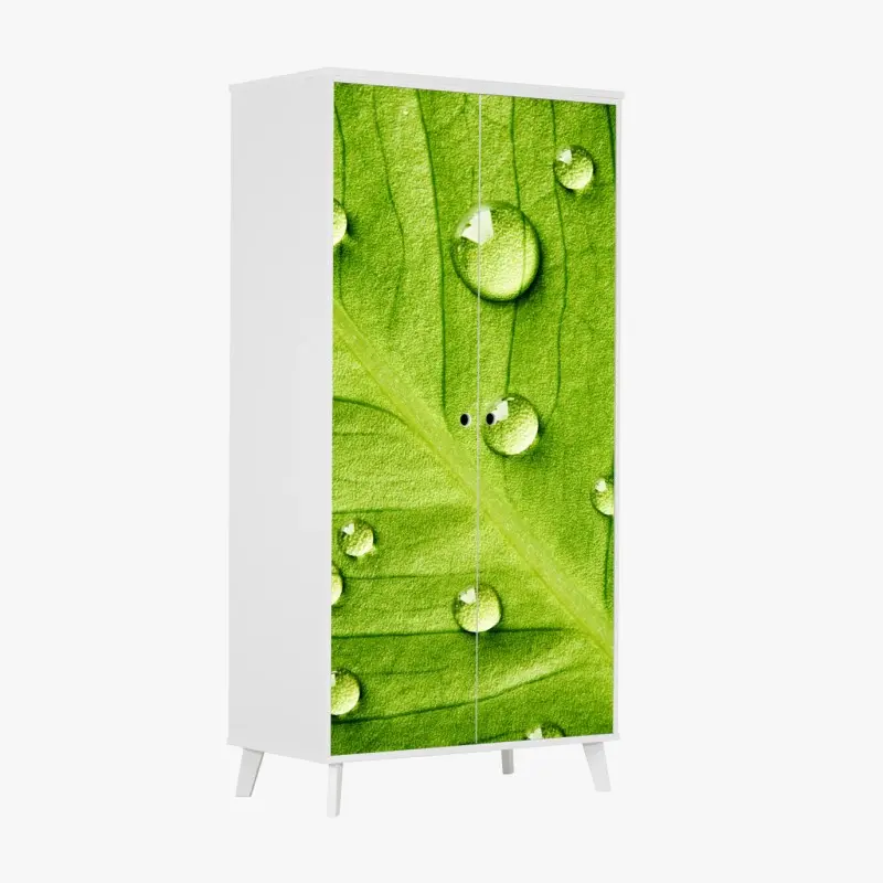 Schrankaufkleber frisches grünes blatt mit wassertropfen
