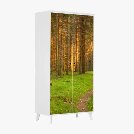 Schrankaufkleber goldenes licht im moosbedeckten kiefernwald – Pixers®