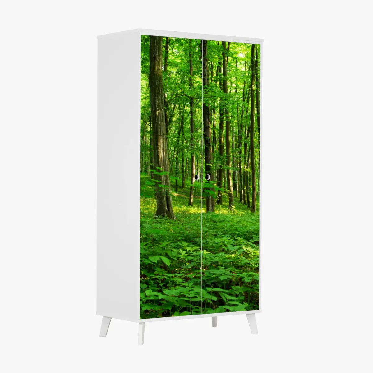Schrankaufkleber sonniger grüner wald im frühling – Pixers®