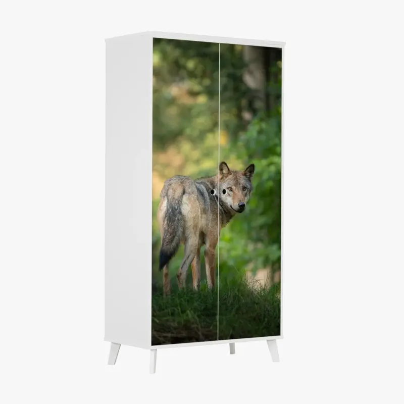 Schrankaufkleber wolf auf der lichtung im wald
