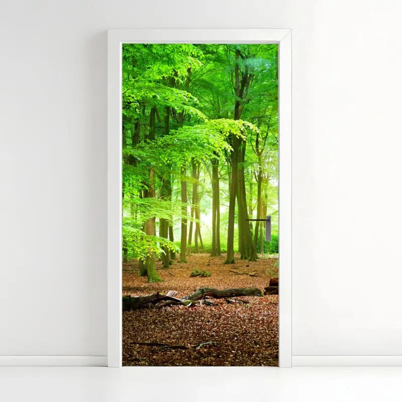 Türaufkleber sonnendurchfluteter grüner wald
