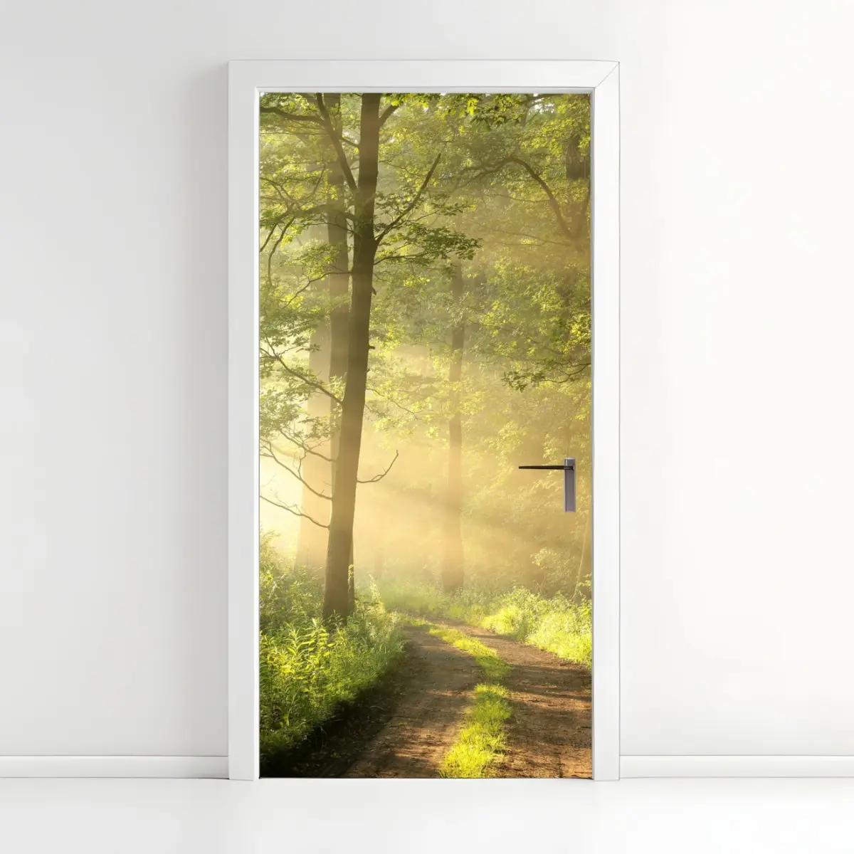 Türaufkleber morgendliches licht im wald – Pixers®