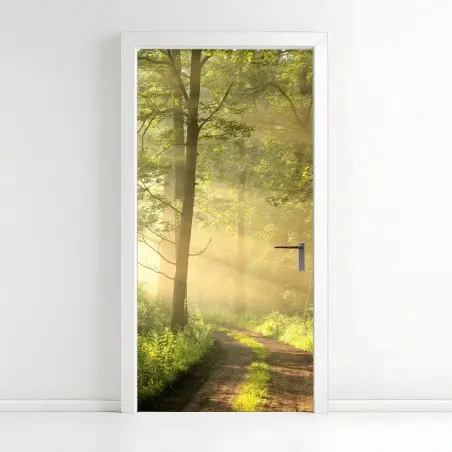 Türaufkleber morgendliches licht im wald – Pixers®