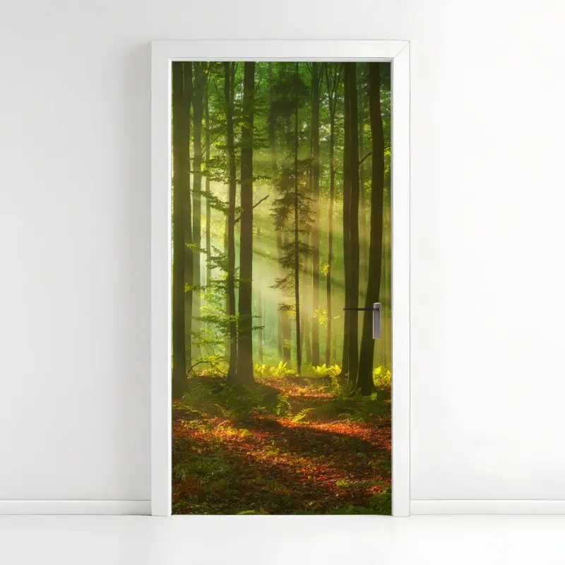 Türaufkleber morgendliches licht im grünen wald