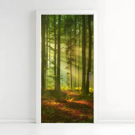 Türaufkleber morgendliches licht im grünen wald – Pixers®