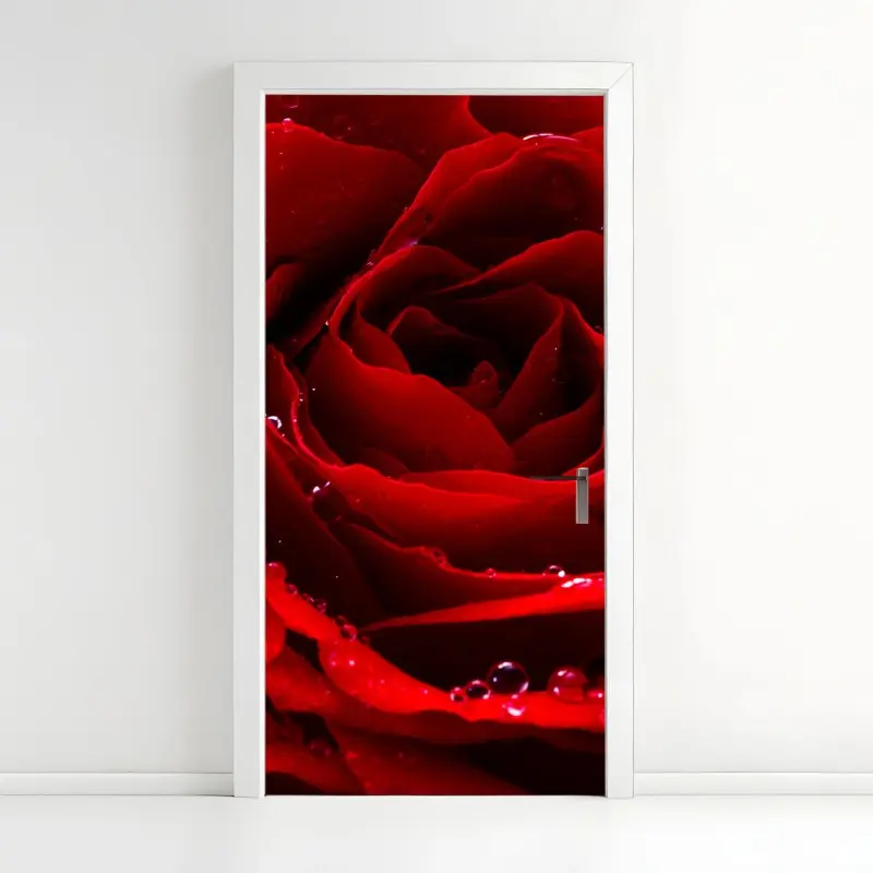 Türaufkleber leuchtend rote rose nahaufnahme
