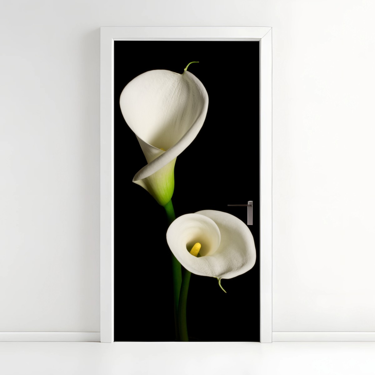 Türaufkleber weiße calla vor schwarzem hintergrund – Pixers®