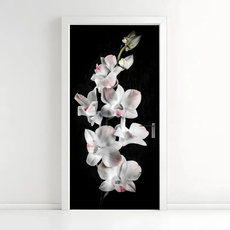 Türaufkleber weiße und rosa orchidee vor schwarzem hintergrund