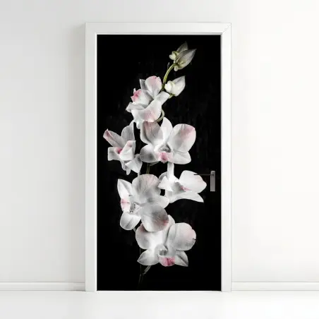 Türaufkleber weiße und rosa orchidee vor schwarzem hintergrund – Pixers®