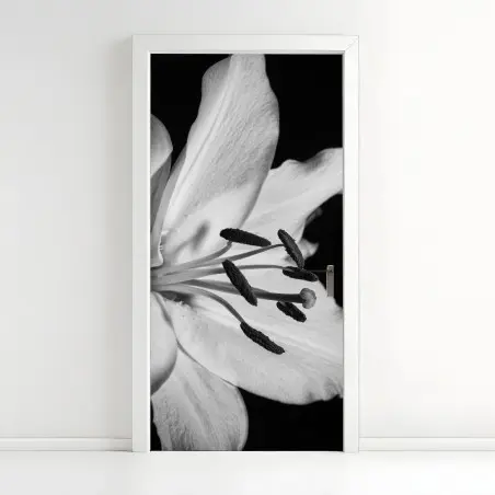 Türaufkleber monochrome lilie nahaufnahme – Pixers®