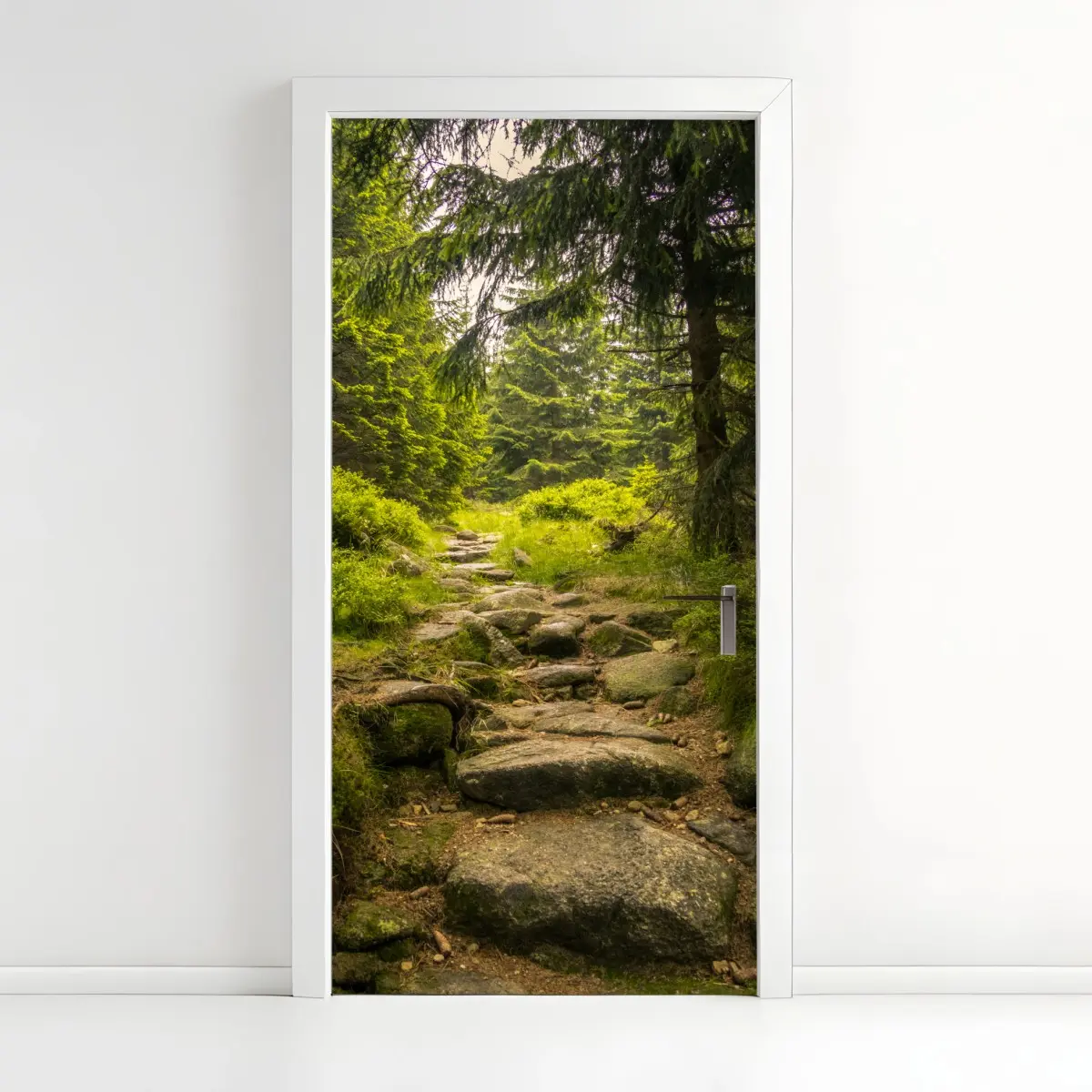 Türaufkleber ruhiger waldweg durch nadelwald – Pixers®