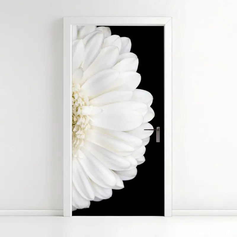 Türaufkleber weiße gerbera auf schwarzem hintergrund minimalistische nahaufnahme