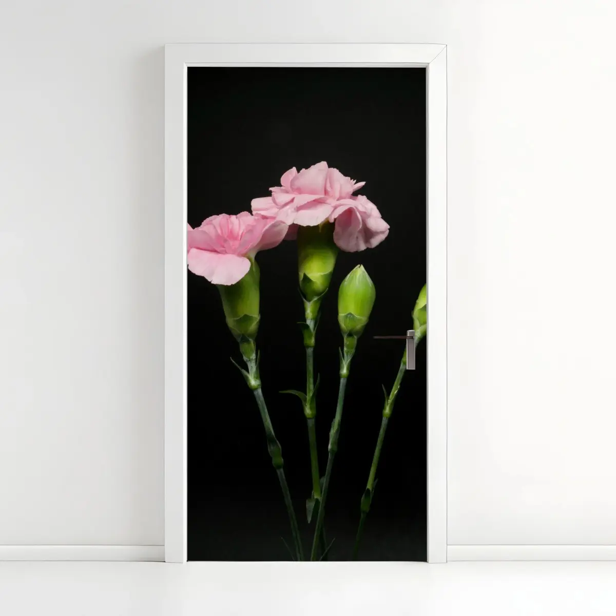 Türaufkleber rosa nelken vor schwarzem hintergrund – Pixers®