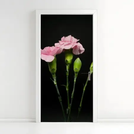 Türaufkleber rosa nelken vor schwarzem hintergrund – Pixers®