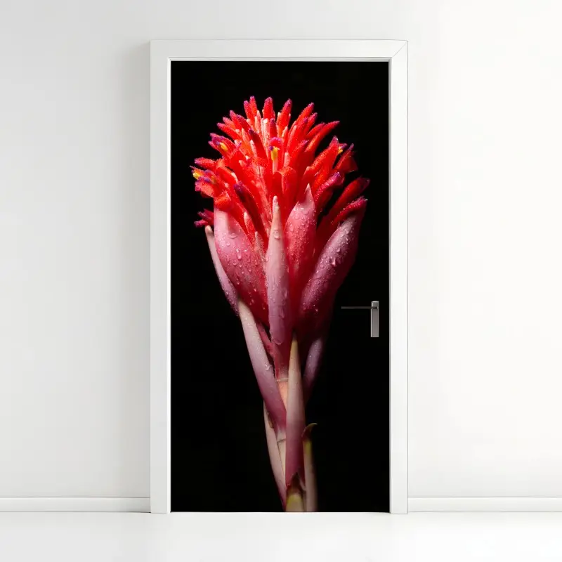 Türaufkleber leuchtende rosa blüte vor schwarzem hintergrund