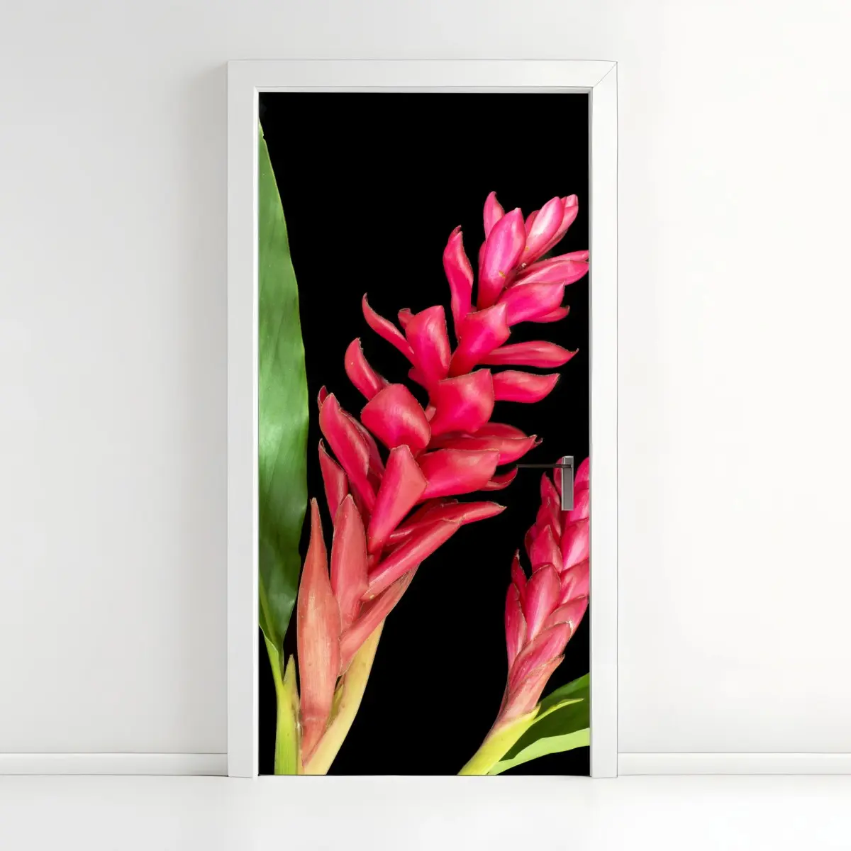 Türaufkleber leuchtende zier-ingwer-blüte auf schwarzem hintergrund – Pixers®
