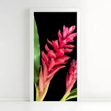 Türaufkleber leuchtende zier-ingwer-blüte auf schwarzem hintergrund – Pixers®