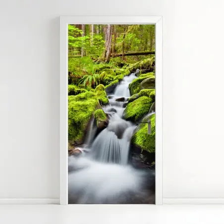 Türaufkleber moosbedeckter bach bei Sol Duc Falls – Pixers®